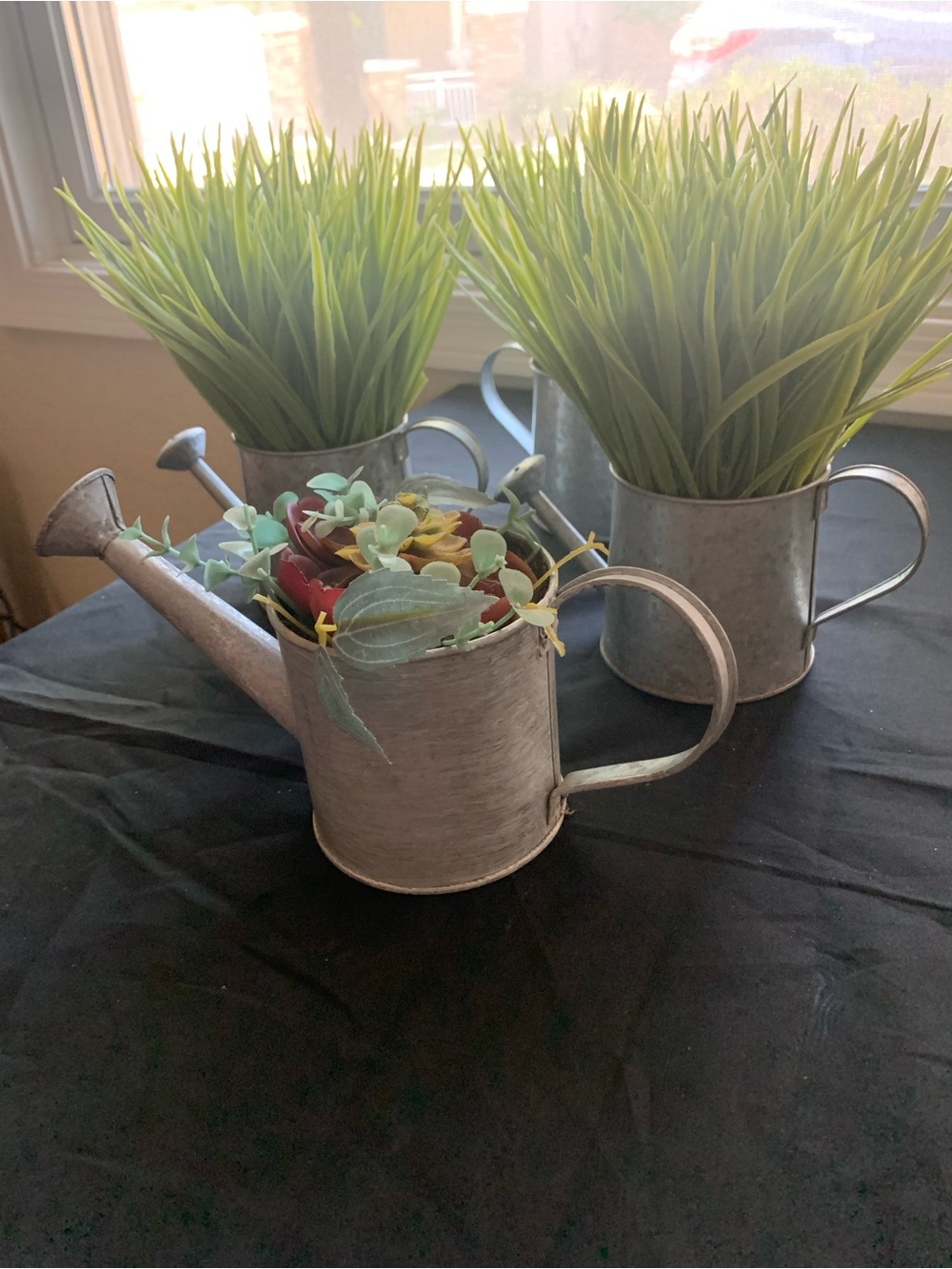 Random Stuff: Rustic Watering Can Planters; SPRING Sign; Lemons